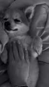 nina.kxs Altpins Profile Picture