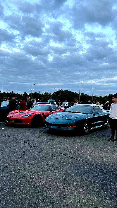 simp_for_cats_ simp_for_cats_ archive video