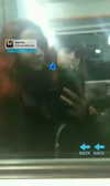 glo_guarino_ Altpins Profile Picture