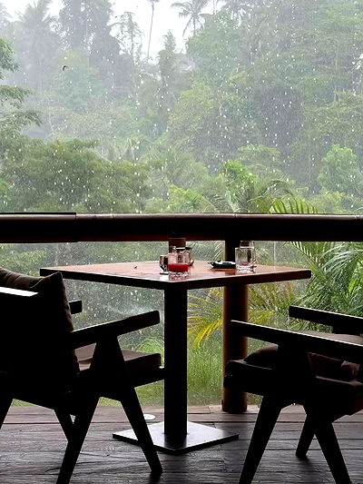 taylor.creeden taylor.creeden archive video