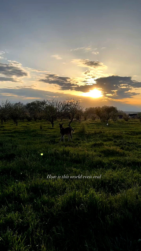 aly.revolver archive video preview