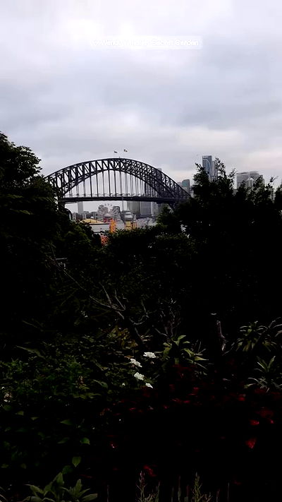 taylor.creeden taylor.creeden archive video