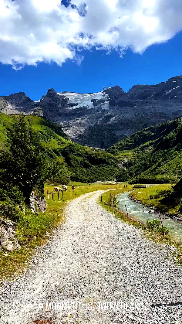 swfx_real archive video preview