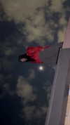 zommmbri Altpins Profile Picture