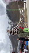 mekhrona_18 Altpins Profile Picture