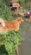 biton__adi Altpins Profile Picture
