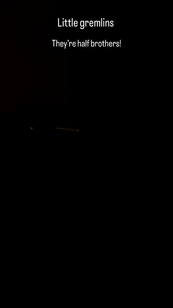 karmamisu archive video preview