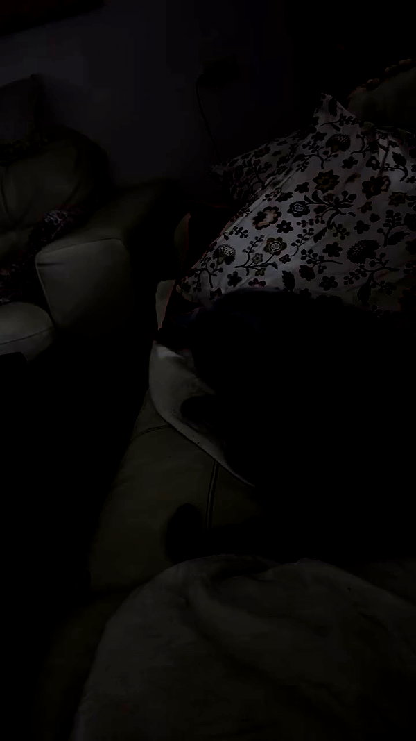 romxcohen archive video preview