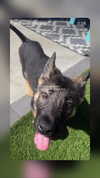 emily_new2 Altpins Profile Picture