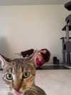 leanbeefpatty Altpins Profile Picture