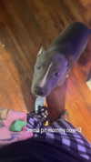 b6ylexx Altpins Profile Picture