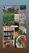 dante_yangpa Altpins Profile Picture
