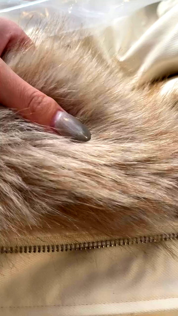 phuongthao.1109 archive video preview