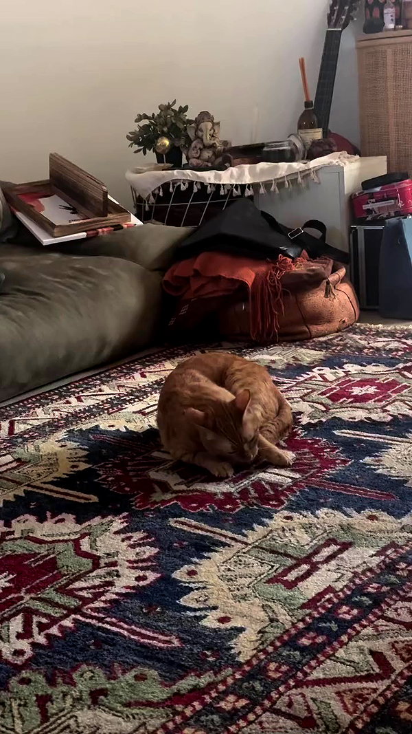ronyida_ archive video preview