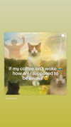 theonlygirlintheworld.xoxo Altpins Profile Picture