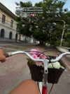 mishell.lindaflor Altpins Profile Picture