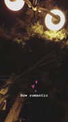 evasela__ Altpins Profile Picture