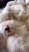 elizabethcampbelljones Altpins Profile Picture
