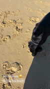 _kayleewray_ Altpins Profile Picture