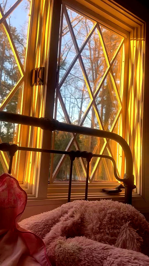 elizabethcampbelljones archive video preview