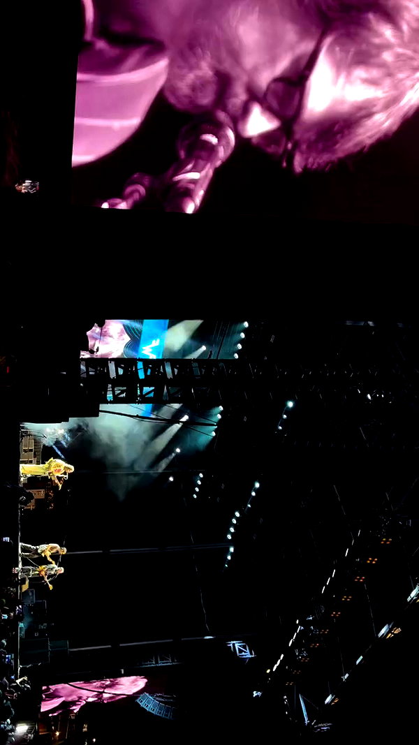 livindeadyaz archive video preview