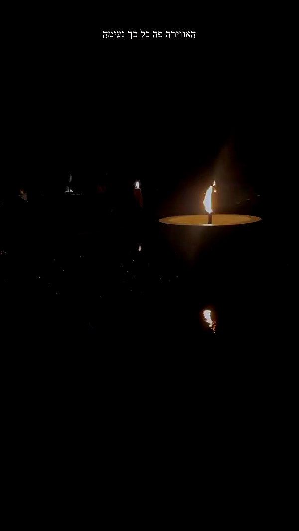 barzomer archive video preview