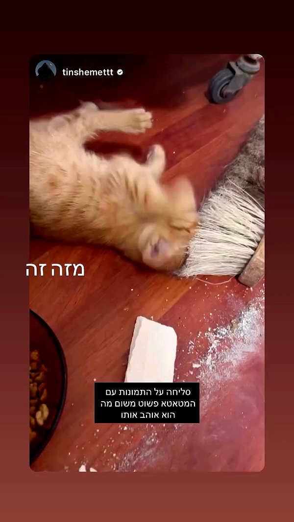 mishel116 archive video preview