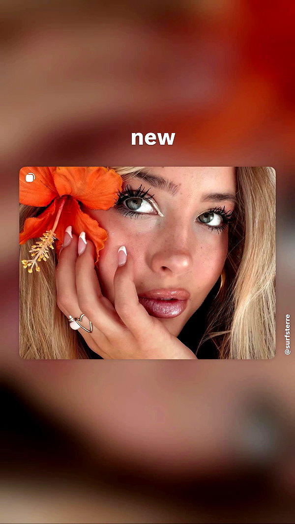 surfsterre archive video preview