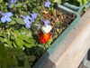 anesa.zm Altpins Profile Picture