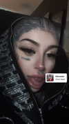 taxevasionkoala Altpins Profile Picture