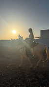 yaell_dahan Altpins Profile Picture