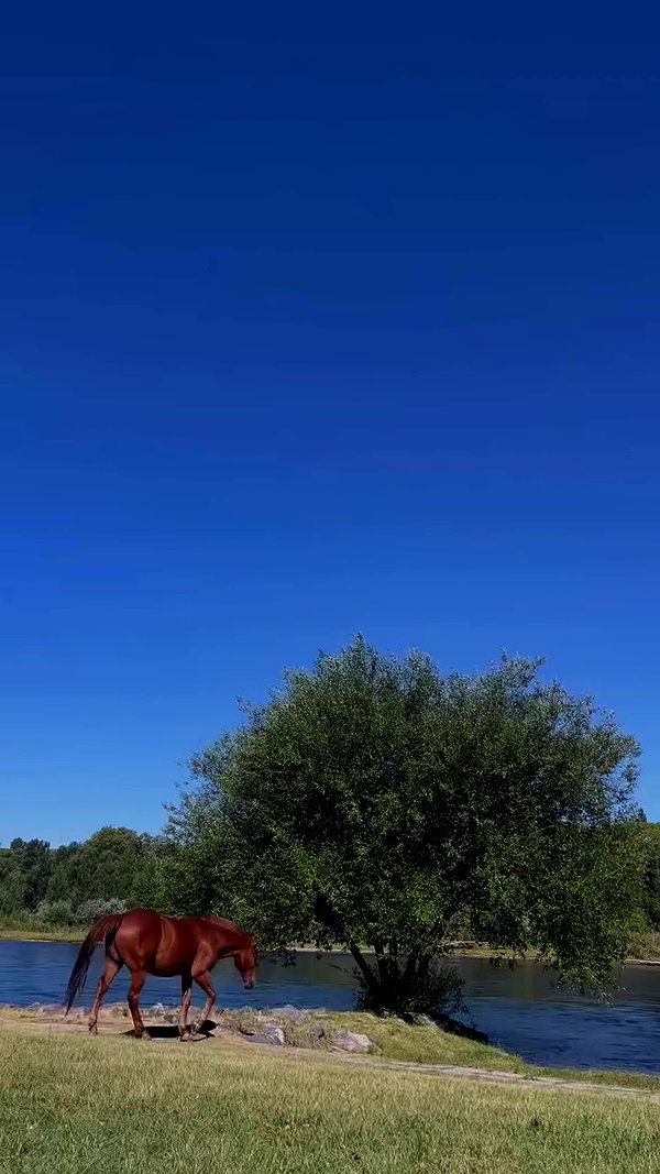 melbruno archive video preview