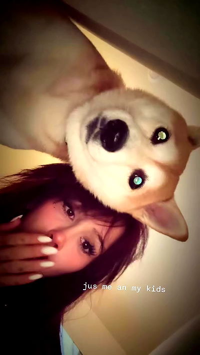 zommmbri zommmbri archive video