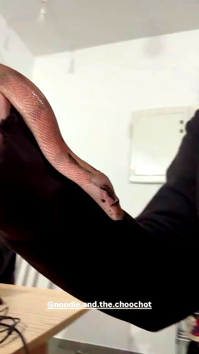 avitallllllllllllllll avitallllllllllllllll archive video