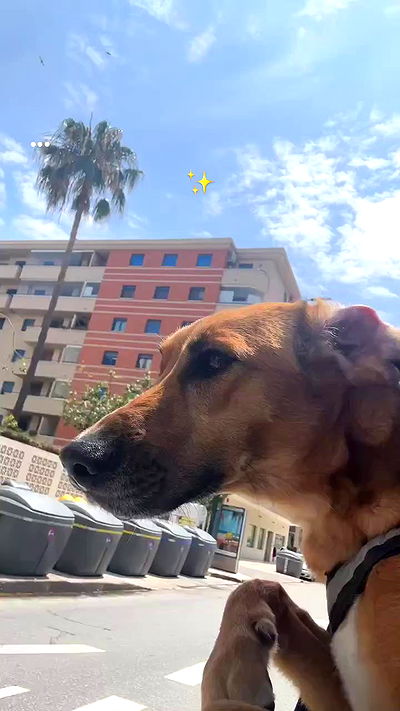 manjolamuriqi manjolamuriqi archive video