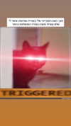 itsilanosh Altpins Profile Picture