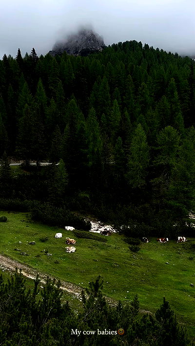 taylor.creeden taylor.creeden archive video