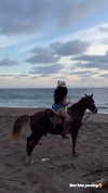vanessa.rhd Altpins Profile Picture