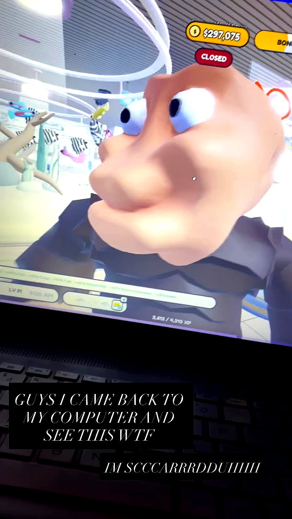 caterpiekae archive video preview