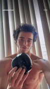 swholeanimal Altpins Profile Picture