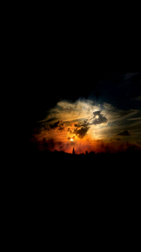 ___shachar archive video preview