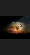 ___shachar Altpins Profile Picture