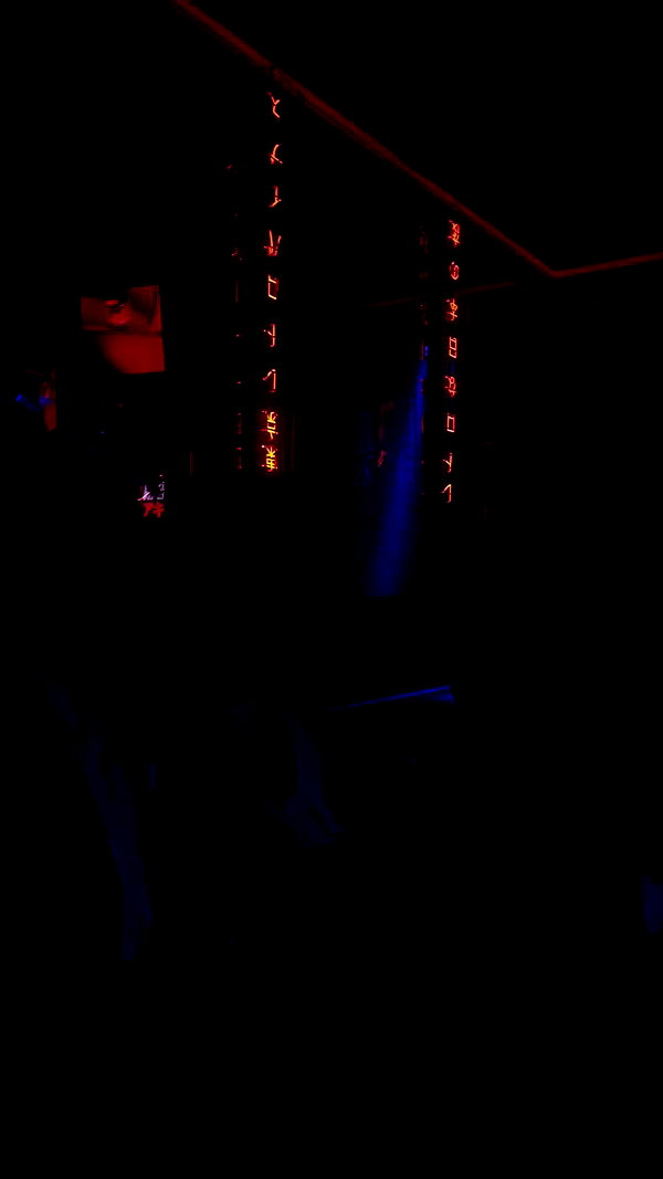 alishenyka archive video preview