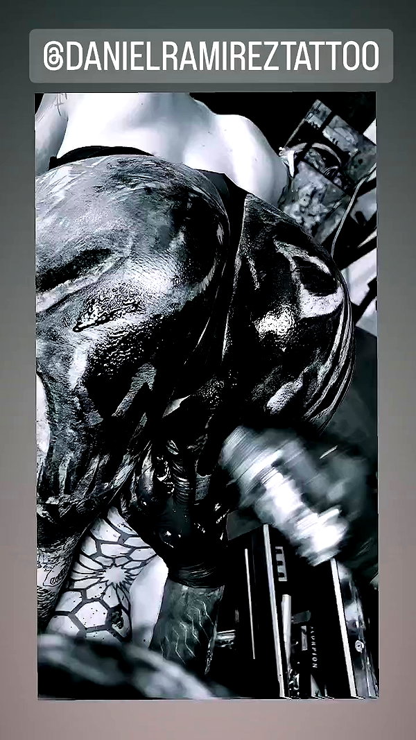 venecatattoo archive video preview