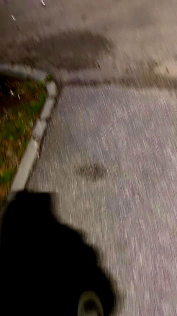 _._dianush._ archive video preview