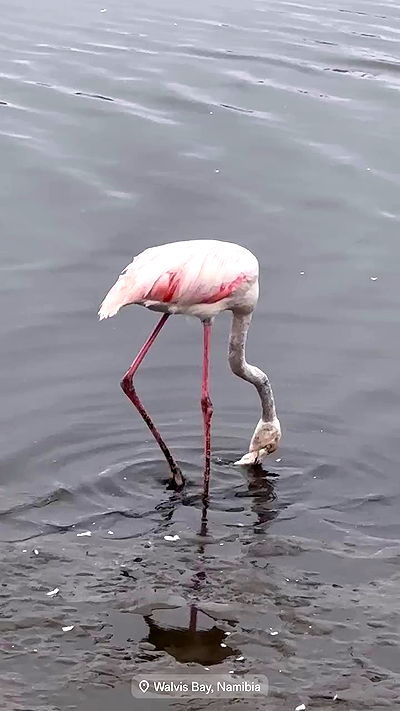 taylor.creeden taylor.creeden archive video