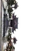 nikoleta.milenova Altpins Profile Picture