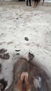 emilyymcwilliam Altpins Profile Picture