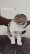 sonia_litvanchuk Altpins Profile Picture