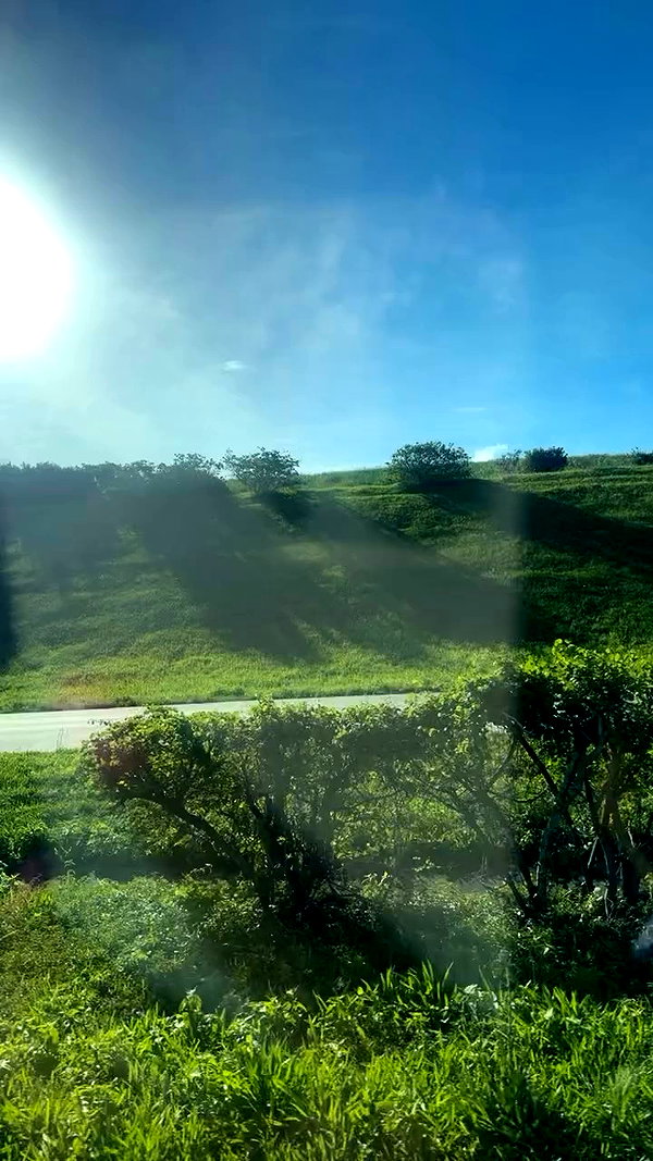 tyla archive video preview